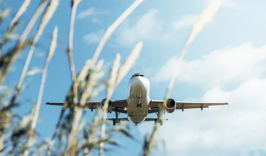 Doi antreprenori români, cu afaceri în industria pariurilor și a jocurilor de noroc, își înființează companie aeriană