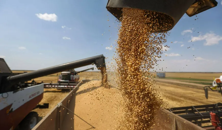 Ungaria a interzis importul de cereale și alte produse alimentare din Ucraina, după ce Polonia a luat aceeași măsură. Criza cerealelor ia proporții