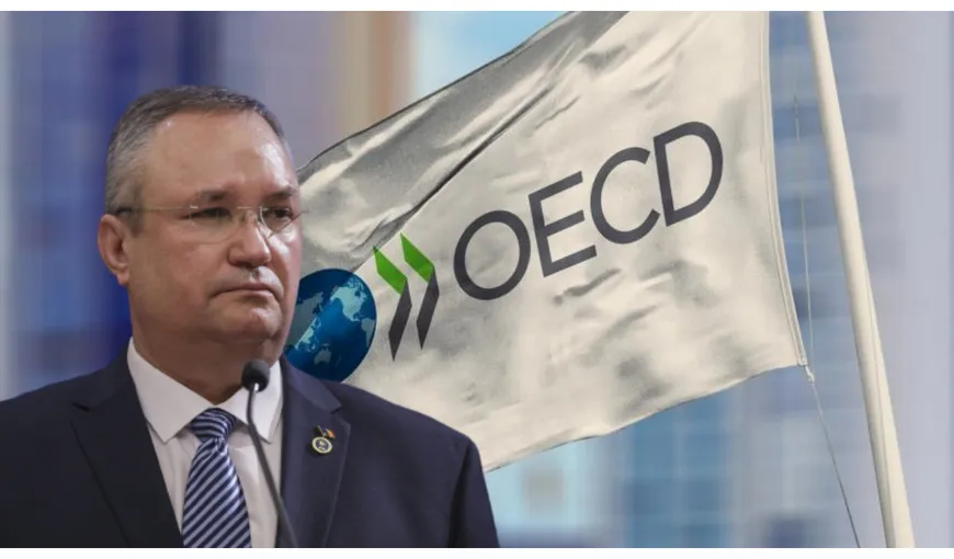 Nicolae Ciucă, despre aderarea României la OCDE: ”Este un obiectiv politic pe care trebuie să şi-l asume toate forţele politice”