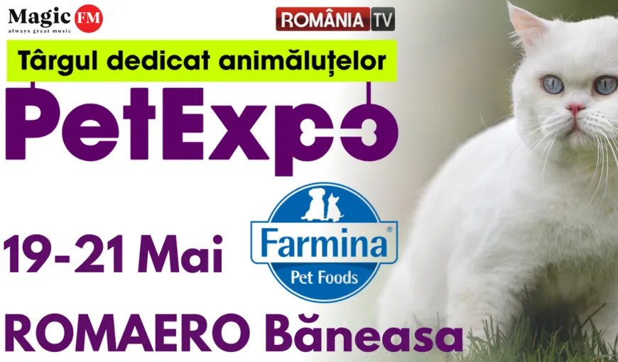 Show de pești exotici, concurs de grooming, prezentare de rase canine românești și internaționale și ședințe foto gratuite pentru animăluțele de companie la PetExpo