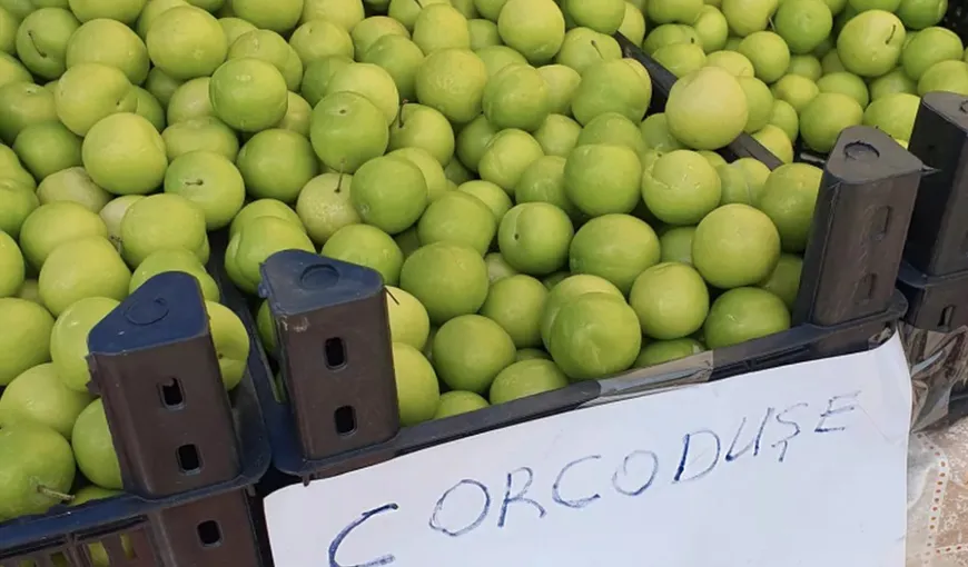 Cât costă un kilogram de corcodușe din Turcia în piețele din România: „Aveți prețuri mai mari decât în Irlanda”