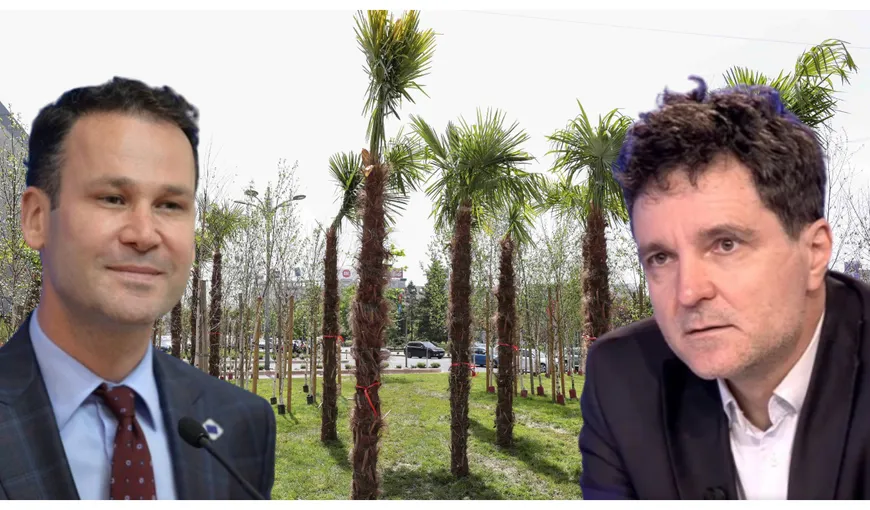 VIDEO| Robert Negoiță, o nouă ironie la adresa lui Nicușor Dan. ”Ia uite ce copaci frumoși, ăștia sunt ilegali”