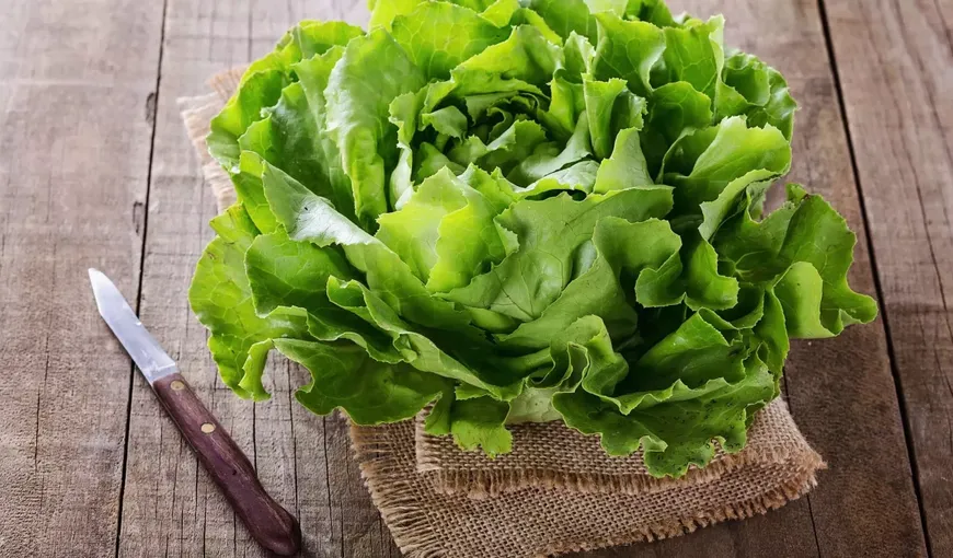 Salata verde, beneficii majore pentru sănătate. De ce este bine să o cosumi zilnic şi care este cea mai eficientă dietă de slăbire cu salată verde
