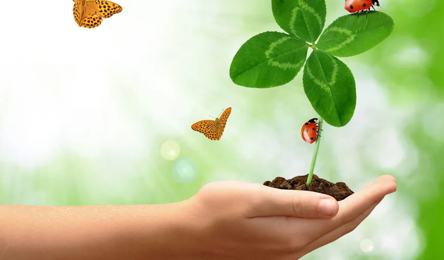 Horoscop special: Cele mai NOROCOASE zodii din a doua jumătate a anului 2023