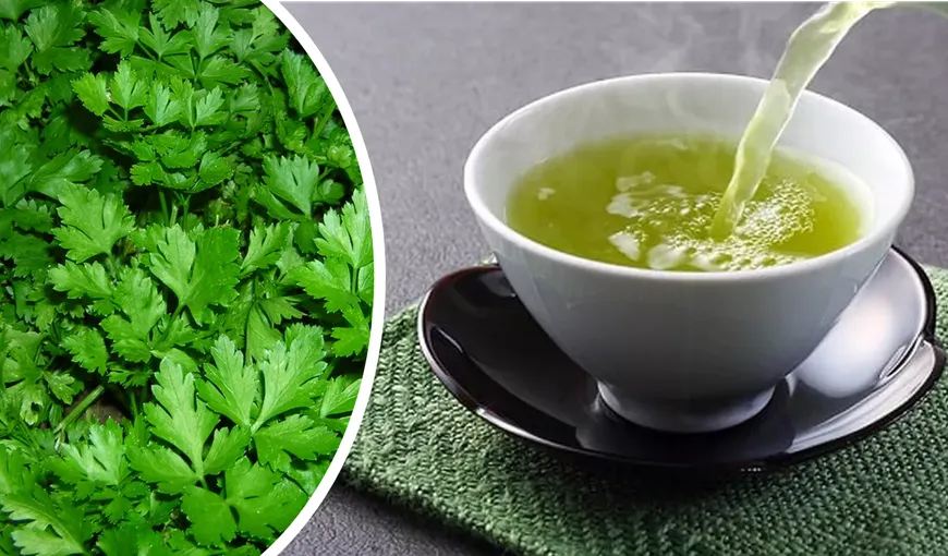 Ceaiul de pătrunjel te ajută să slăbești cinci kilograme într-o singură săptămână