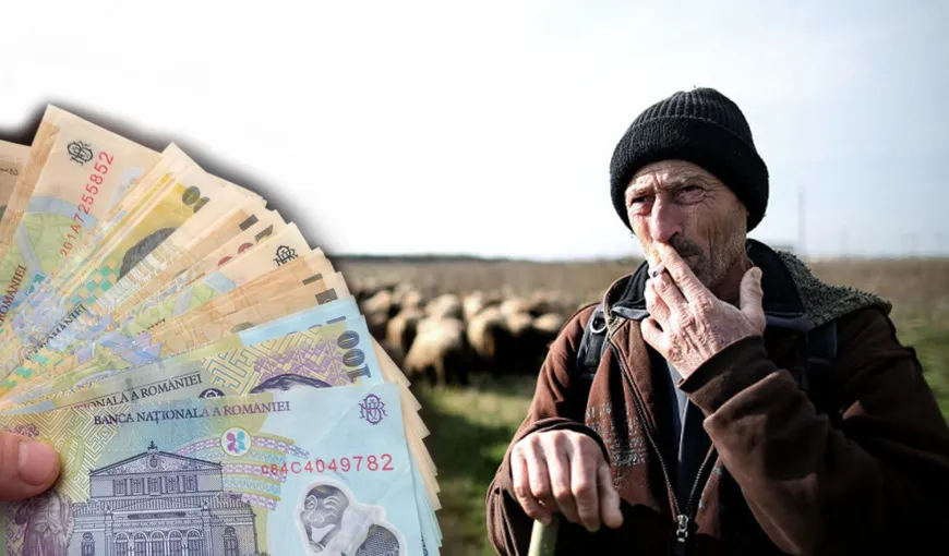 România, țara tuturor posibilităților. Un cioban primește un salariu mai mare decât un profesor: „Nu știe să scrie, să citească”