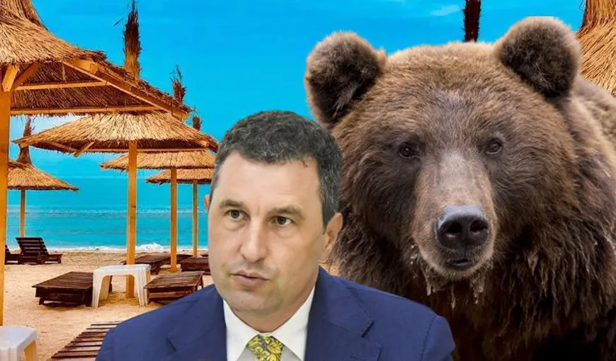 Cu ursul la uşă! Tanczos Barna, revoltat de situaţia urşilor ajunşi în oraşe: „O să ajungem să avem urşi la Constanţa sau care fac baie în Deltă”