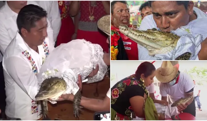 Căsătorie-șoc! Un primar a ales să își unească destinul cu o femelă crocodil: „Ne iubim. Acesta este ceea ce este important”. Localnicii care n-au participat la eveniment au fost amendați