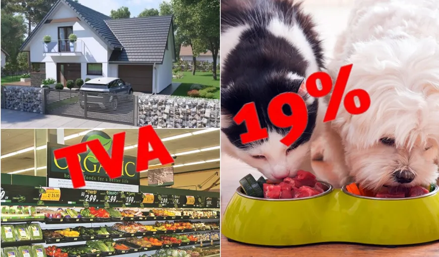 Guvernul pregăteşte taxa „pe vilă”, pe produsele bio şi TVA 19% pentru mâncarea animalelor