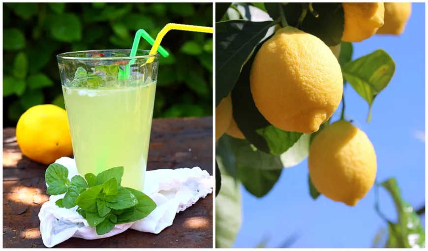 Motivul pentru care grecii nu fac limonadă, chiar dacă Grecia este plină de lămâi: „De ce să bem așa ceva?”