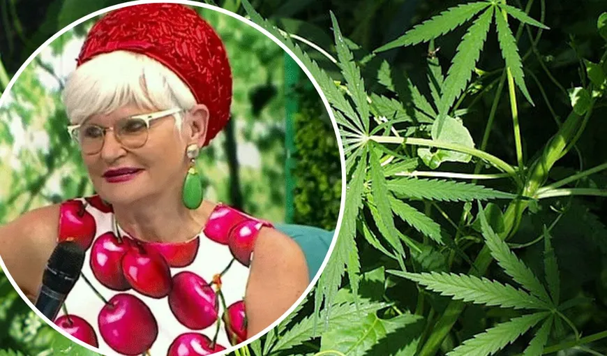 Monica Tatoiu cere legalizarea drogurilor uşoare şi a prostituţiei: „Mai bine controlezi, decât să trimiţi la puşcărie nişte puşti de 16 ani, care nu înţeleg”