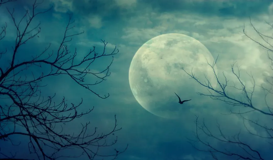 Ritual de Lună plină albastră în Pești. Ce să faci ca să îți meargă bine până pe 10 septembrie 2023