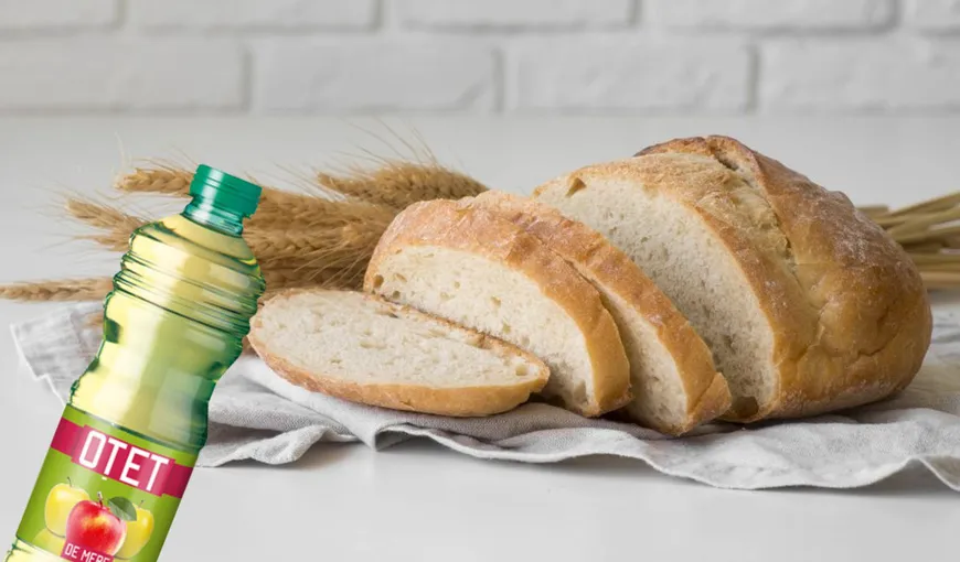 Ce se întâmplă dacă pui oțet pe o felie de pâine și o lași peste noapte în bucătărie