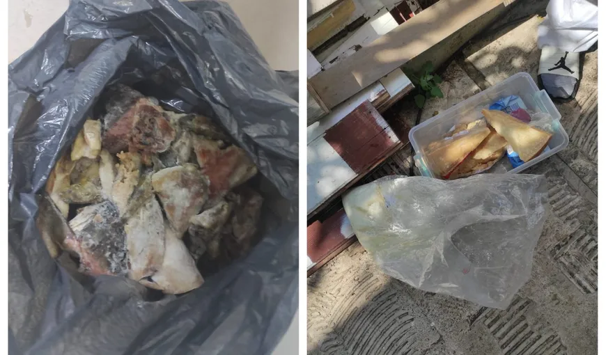 Bilanţul Comandamentului Estival 2023: amenzi de 5 milioane de lei şi peste două tone de alimente confiscate