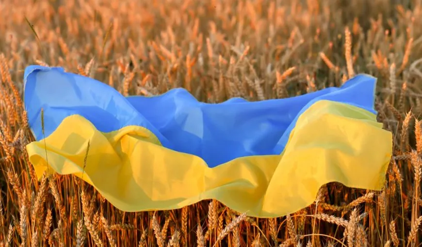 Ministrul Agriculturii a obţinut condiţiile cerute guvernului Kievului privind exportul de cereale ucrainene