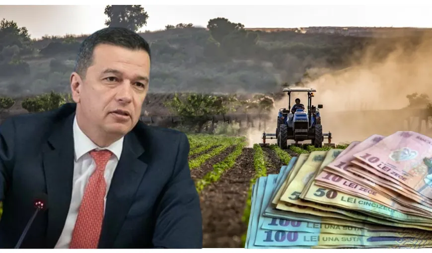 Sorin Grindeanu, anunț de ultimă oră pentru fermierii români! ”Vom acorda subvenții indiferent de ce decide UE”