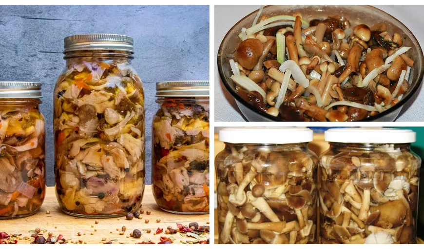 Ghebe marinate la borcan! Rețeta de ciuperci murate pentru iarnă cu care bunicile din Bucovina fac ravagii