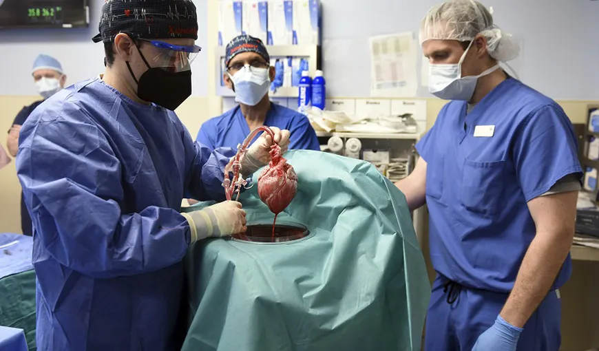 Al doilea transplant istoric de inimă de porc la un pacient viu a fost realizat în SUA