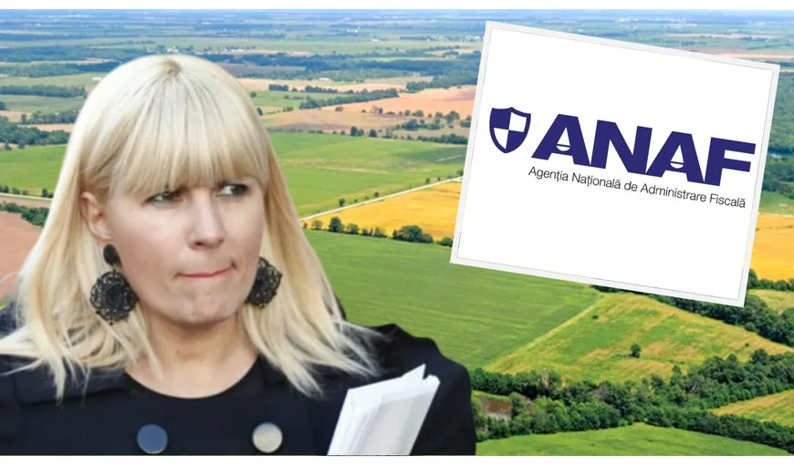 ANAF nu o iartă pe Elena Udrea! Instituția scoate la vânzare un teren care aparține fostului ministru evaluat la două milioane de euro