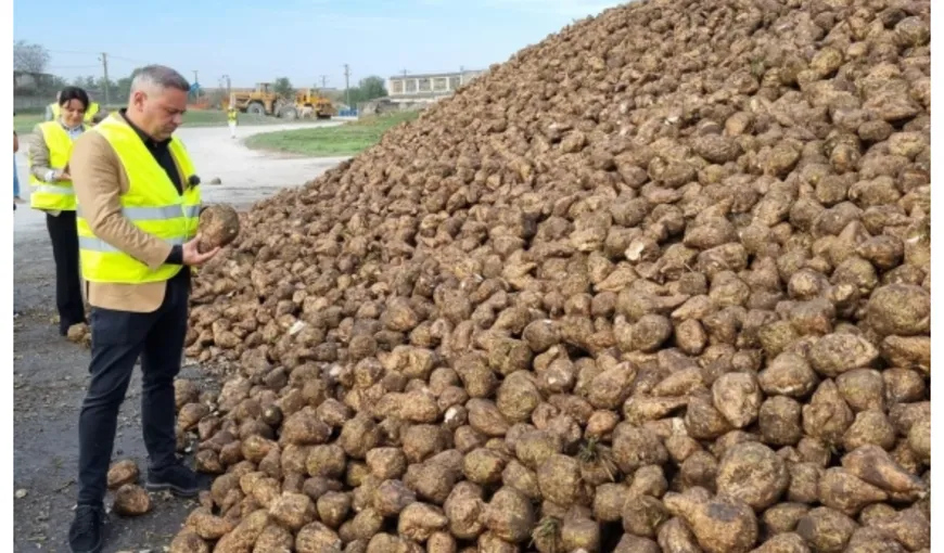 Ministrul Agriculturii, în vizită la fabrica de zahăr de la Luduş: „Doar cumpărând românește susținem afacerile românești”