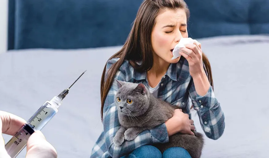 Un nou vaccin mai eficient împotriva alergiei la părul de pisică. Ce au arătat primele teste