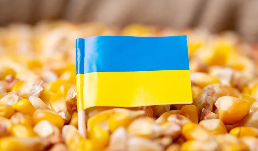 Florin Barbu, ministrul Agriculturii: Importurile de cereale din Ucraina şi Republica Moldova vor fi permise doar fermierilor şi procesatorilor români şi doar pe bază de licenţă
