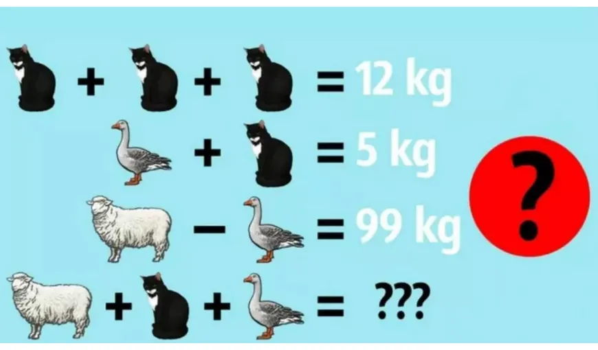 Test de inteligență pentru cei cu IQ ridicat! Ce greutate au oaia, pisica şi raţa. Majoritatea adulților greșesc