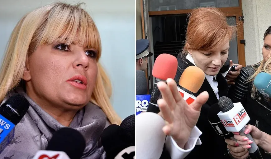 Zi crucială pentru Elena Udrea și Ioana Băsescu. ÎCCJ judecă recursul în casație înaintat de DNA. Prima instanță le condamnase la 8 ani de închisoare pe Udrea și 5 ani pe fiica fostului președinte
