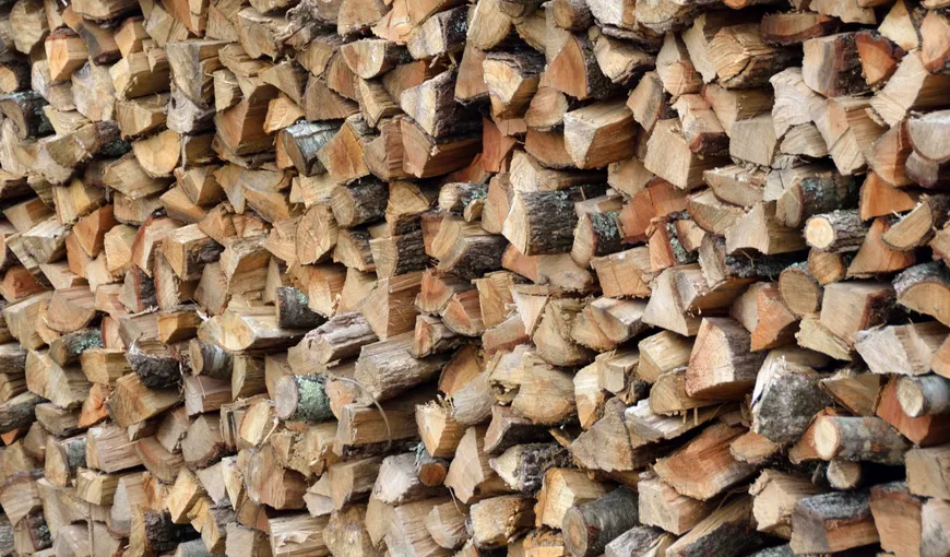 Preţul lemnului a explodat în 2023! Cât trebuie să plătească românii în această iarnă pentru încălzirea cu lemn