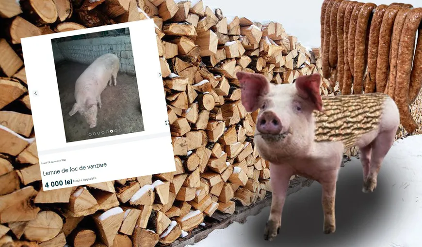 EXCLUSIV Porci de Crăciun vânduți ilegal pe internet sub denumirea de „lemne de foc”. Românii riscă amenzi de până la 40.000 de lei
