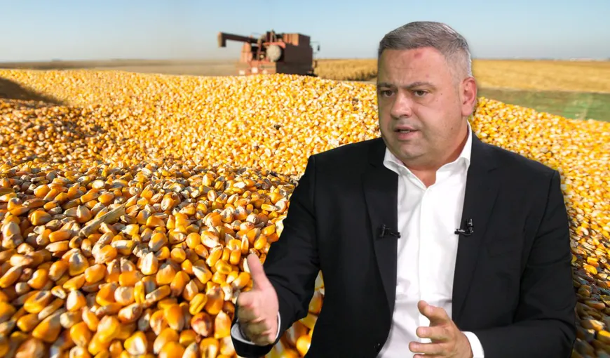 O nouă dispută în Coaliţie: PNL vrea organisme modificate genetic, PSD se opune. Florin  Barbu: „Agricultura românească trebuie protejată”