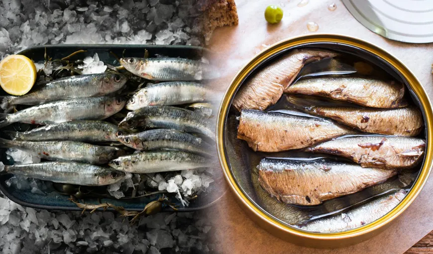 Ce se întâmplă în organism dacă mănânci o conservă de sardine pe săptămână. Medicii au descoperit un nou beneficiu al acestui tip de pește