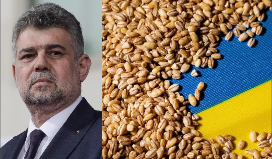 Ciolacu răspunde acuzaţiilor fermierilor români: „Nu am de la nicio instituţie a statului român nicio informaţie că vreun bob de grâu ucrainean rămâne în România”