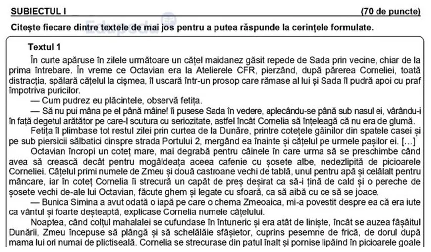 Cum se rezolvau subiectele la română la simulare Evaluare Națională 2024. Bareme de corectare publicate pe edu.ro
