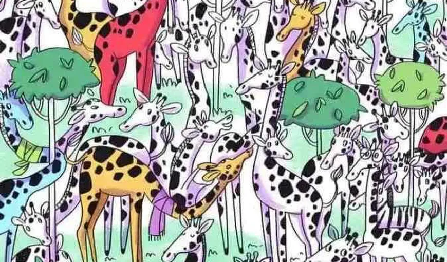 Test de inteligență pentru cele mai vigilente persoane! Găsește zebra ascunsă printre girafele din imagine. Ai doar zece secunde la dispoziție