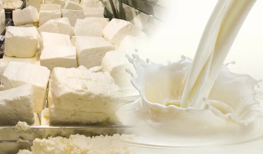 De unde provine laptele din brânzeturile vândute în supermarketurile din România. Puțini români știu că, de fapt, au același furnizor