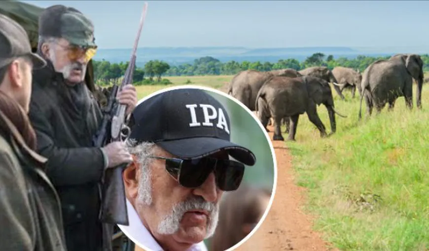 Ion Ţiriac zboară din Noua Zeelandă în Africa pentru vânătoare: „În acea parte din Namibia, elefanţii sunt o plagă, cum e la noi cu ursul”