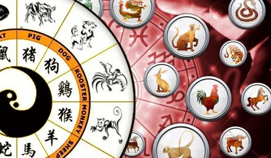 Zodiac chinezesc 11 aprilie 2024. Primești bani din mai multe surse, numai buni pentru a fi investiți într-o afacere nouă