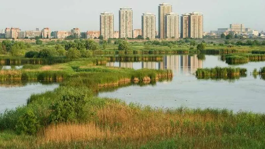 Viitorul Parc Natural Vacaresti din Sectorul 4 va fi avizat administrativ de CGMB