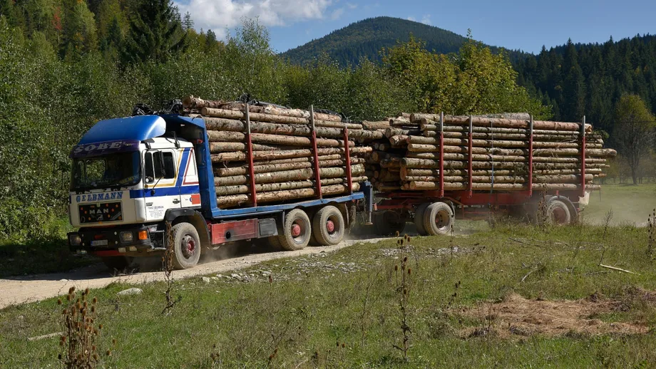 Lemn furat cu TIR-ul in județul Neamț! Poliția a confiscat pe loc utilajul de zeci de mii de euro! Șoferul avea doar 27 de ani!