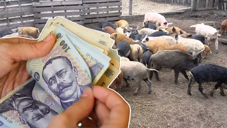 Bani pentru fermieri. Până la sfârşitul anului vor primi ajutorul financiar în conturi