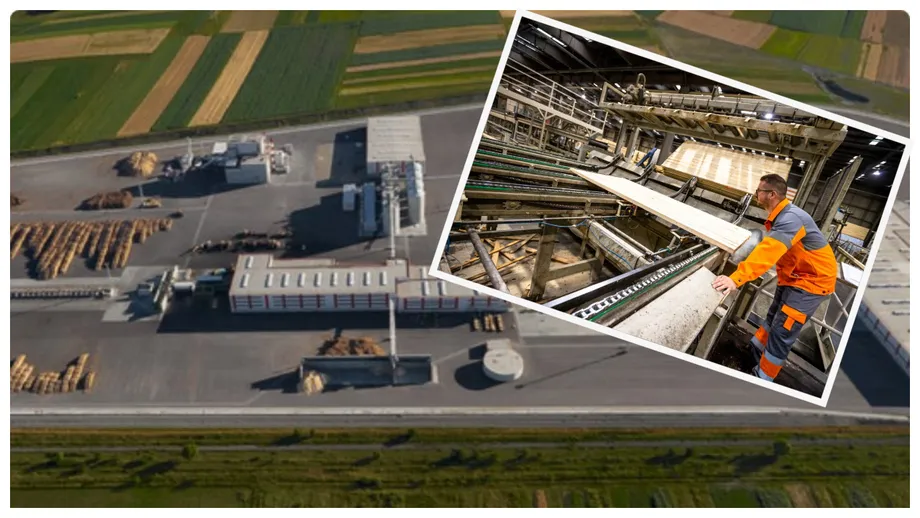 HS Timber Productions, fostul Holzindustrie Schweighofer, anunță concedieri în România. Câți oameni vor rămâne fără locul de muncă