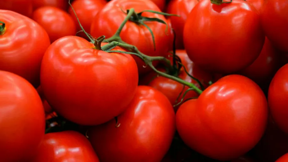 Fermierii au ajuns la disperare! Câte tone de tomate trebuie să vândă ca să primească subvenția de la stat