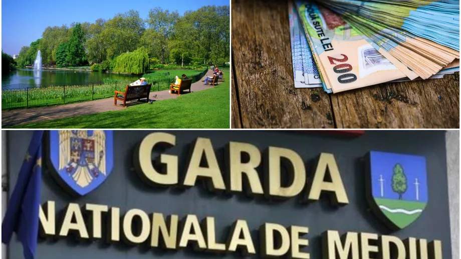 Amenzi de până la 80.000 de lei în Capitală. Garda Naţională de Mediu ia măsuri serioase pentru cei care afectează spațiile verzi și copacii