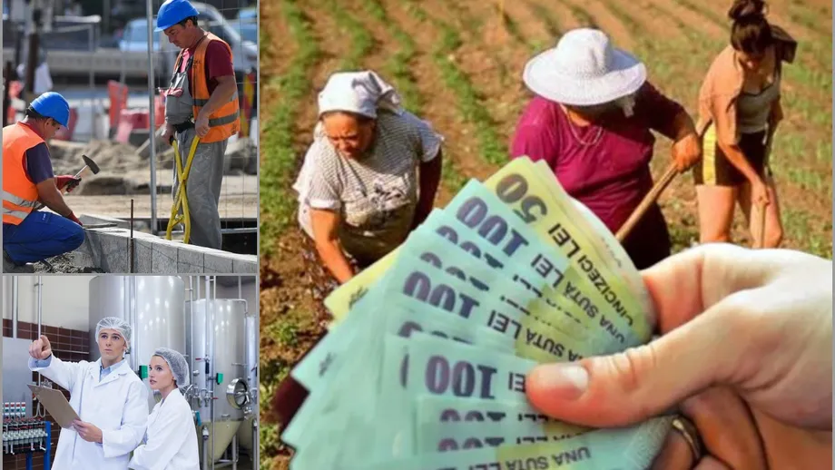 Decizie oficială! Guvernul a majorat cu aproape 15% salariul minim în construcții, agricultură și industria alimentară