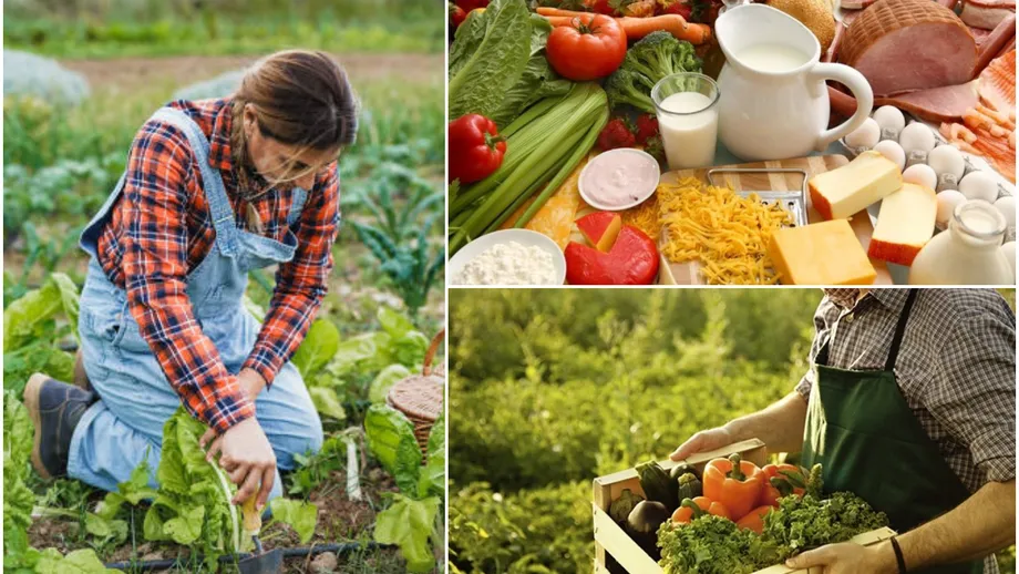 Cum pot producătorii români să își vândă mai ușor produsele, la prețul corect. Anunțul făcut de un consilier MADR