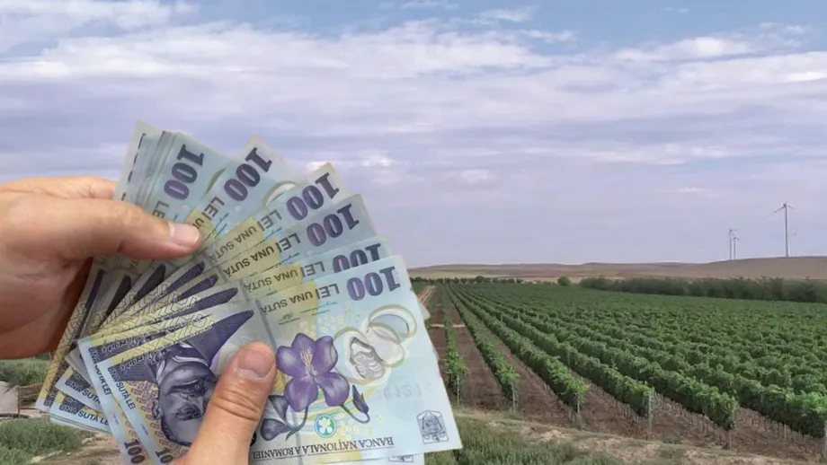 Proprietarii de terenuri, în pericol! Amenzi uriașe și dosare penale pentru cei care încalcă noile reguli!