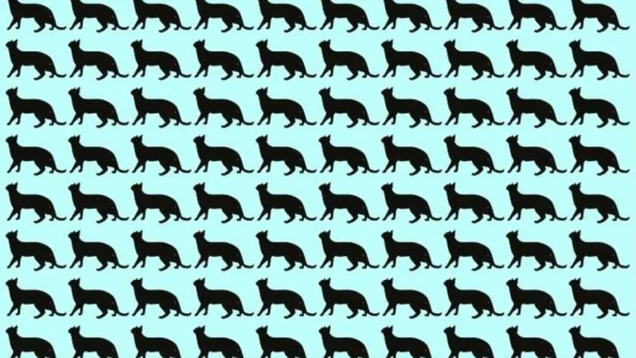 Testul IQ care te va lăsa fără cuvinte! Doar 1 din 100 de români reușește să găsească pisica ascunsă în doar 5 secunde!